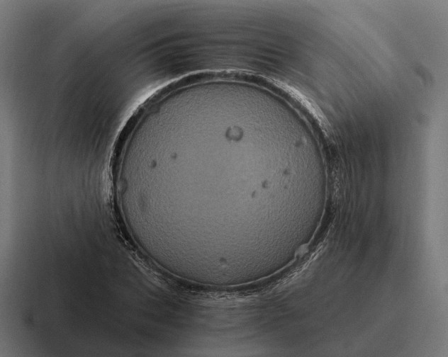 X0000116800927200912311933