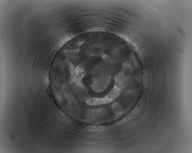 X0000116800929200912311933