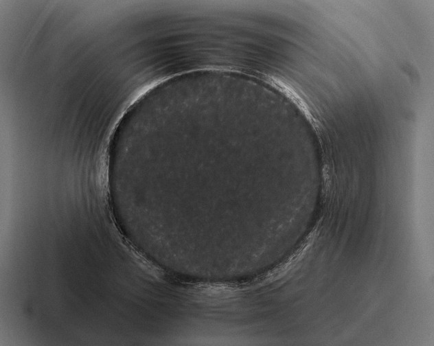 X0000116800931200912311933