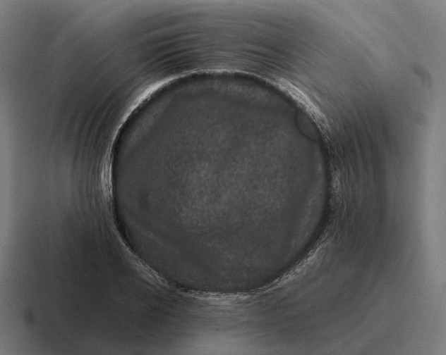 X0000116800934200912311933