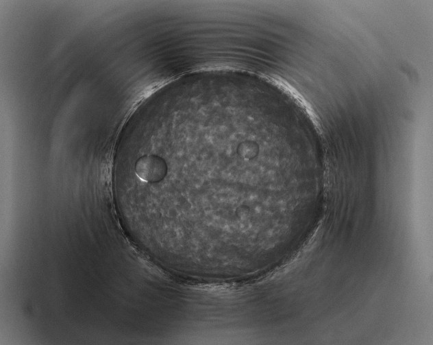 X0000116800937200912311933