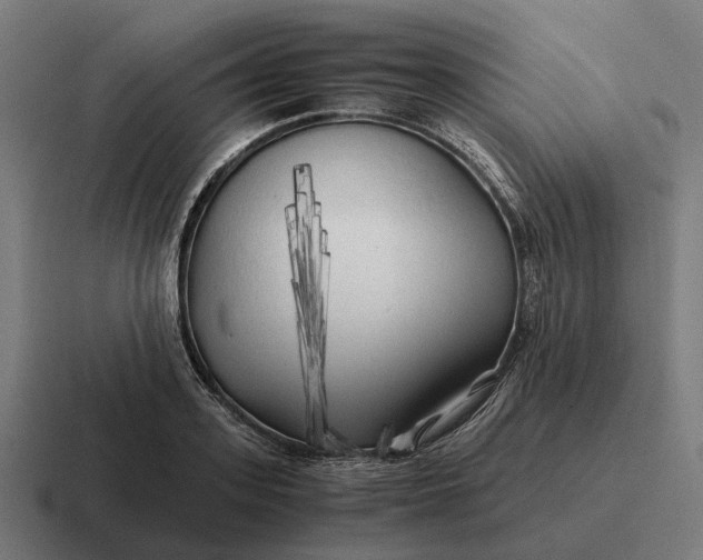 X0000116800939200912311933