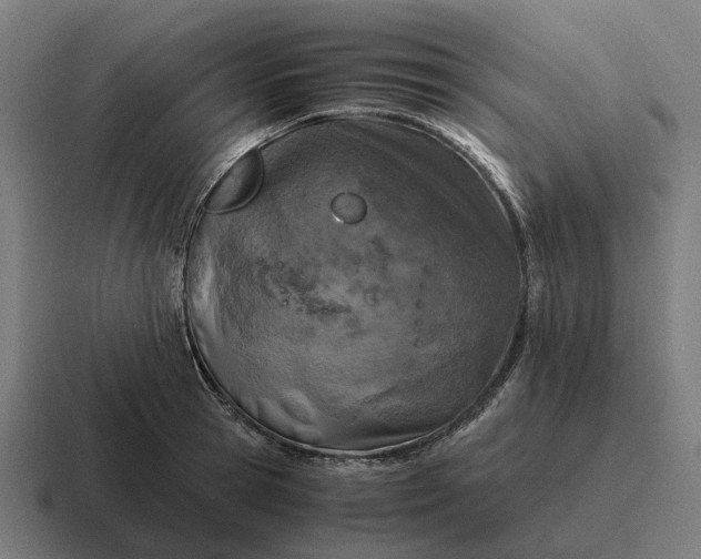 X0000116800945200912311933