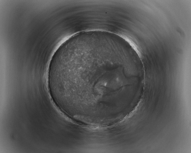 X0000116800949200912311933