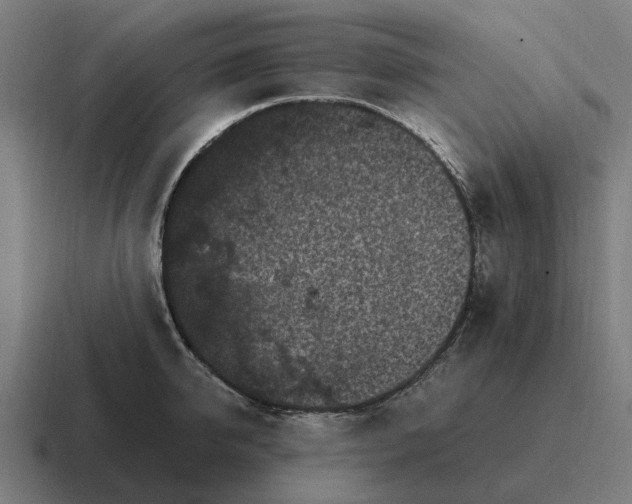 X0000116800950200912311933