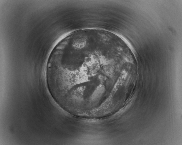 X0000116800957200912311934