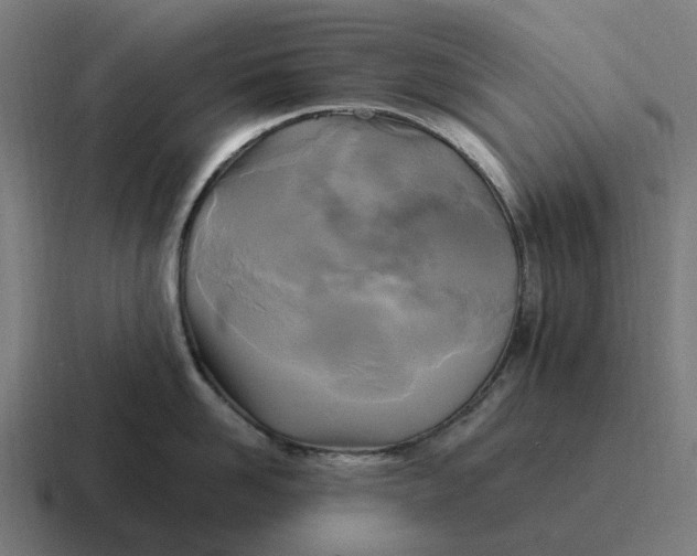 X0000116800958200912311934