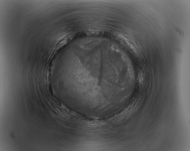 X0000116800964200912311933