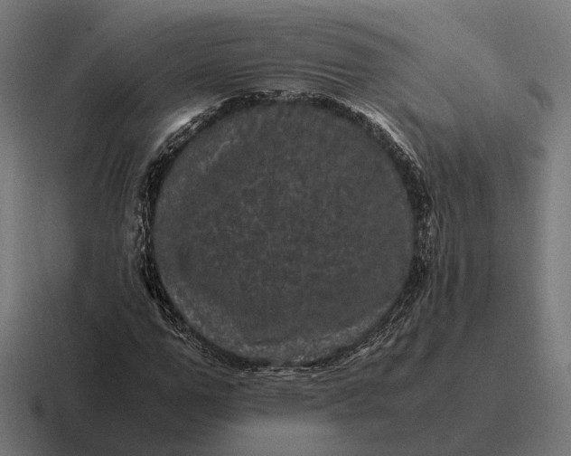 X0000116800967200912311933