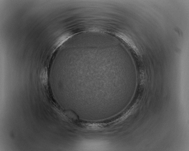 X0000116800969200912311933