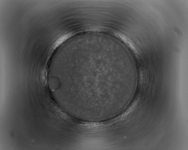 X0000116800970200912311933