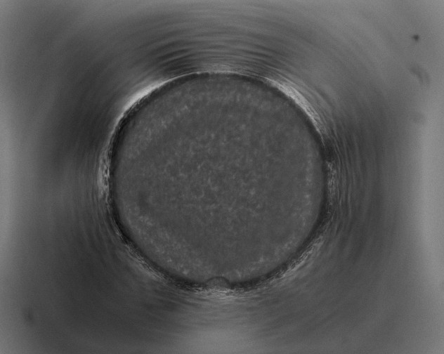 X0000116800971200912311933