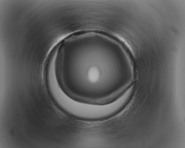 X0000116800973200912311933