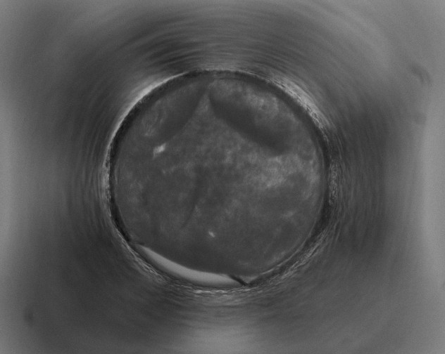 X0000116800976200912311933