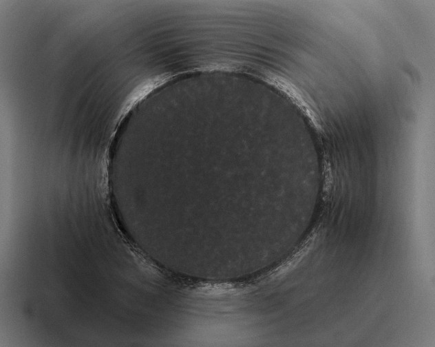 X0000116800978200912311933