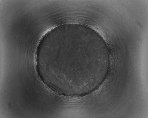 X0000116800979200912311933