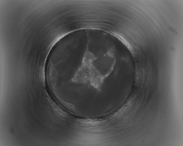 X0000116800980200912311933