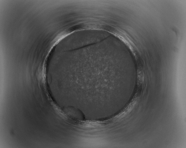 X0000116800981200912311933