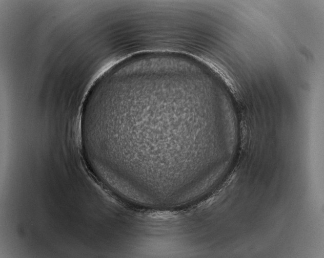 X0000116800982200912311933