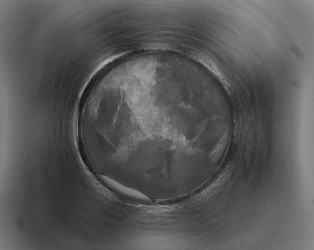 X0000116800984200912311933