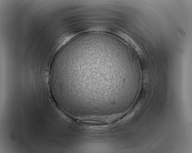 X0000116800985200912311933