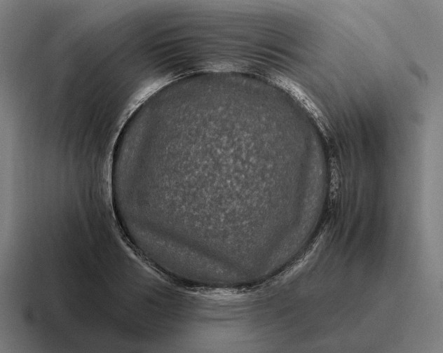 X0000116800986200912311933