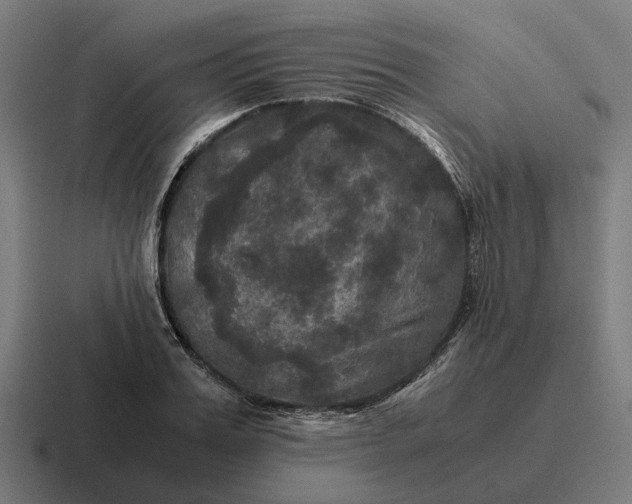 X0000116800987200912311933