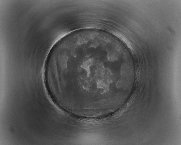 X0000116800991200912311933