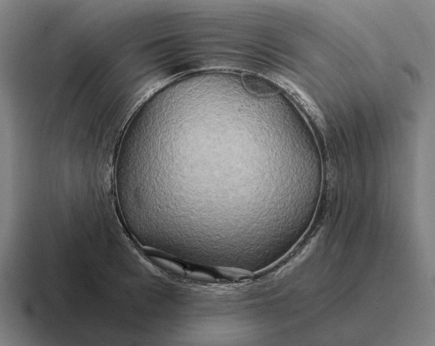 X0000116800993200912311933