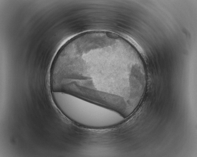 X0000116800996200912311933