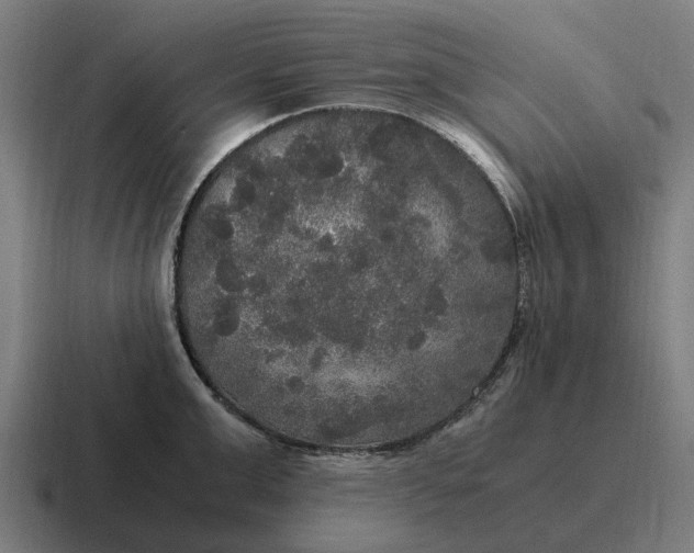 X0000116800999200912311932