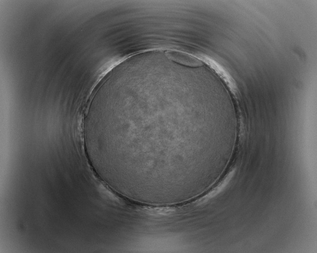 X0000116801001200912311932