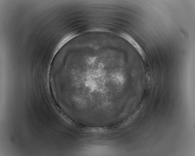 X0000116801002200912311932