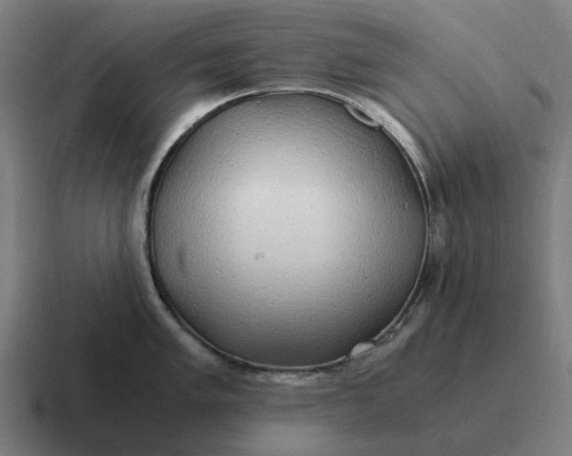 X0000116801005200912311932