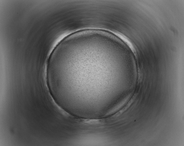 X0000116801006200912311932