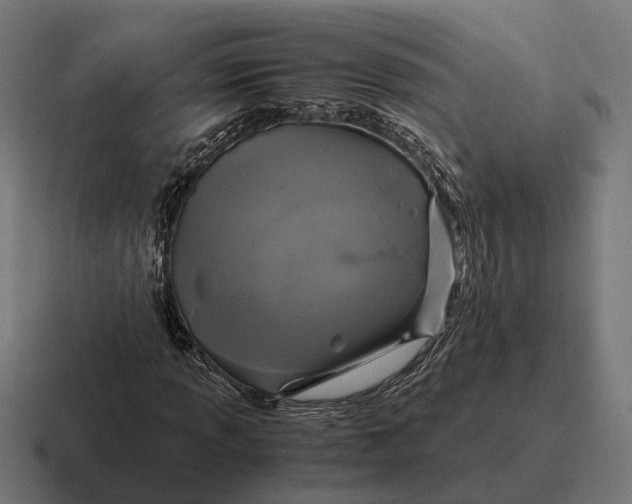 X0000116801013200912311932