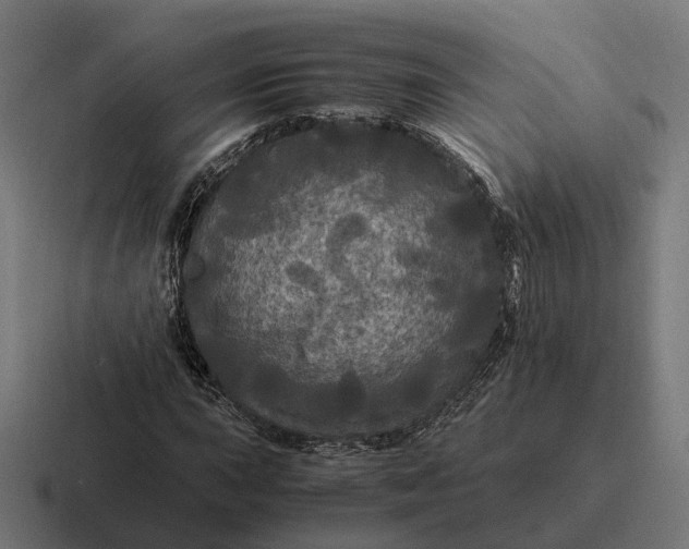 X0000116801015200912311932