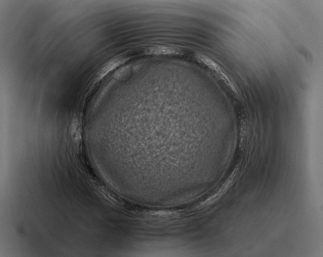 X0000116801017200912311932