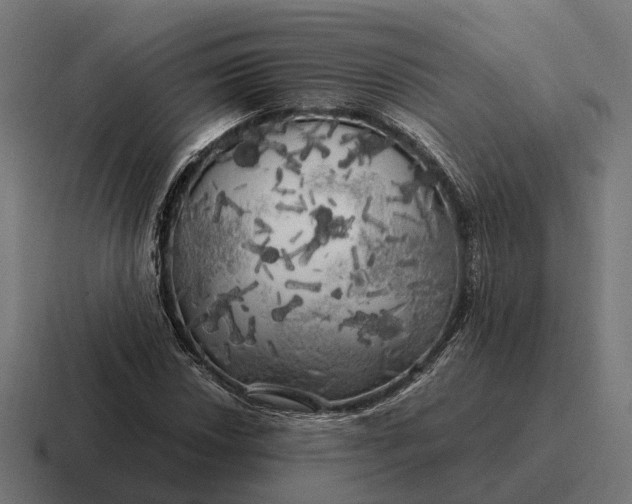 X0000116801018200912311932