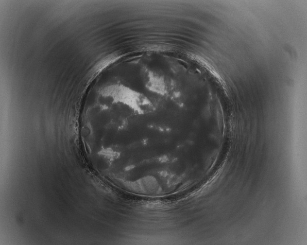 X0000116801025200912311932