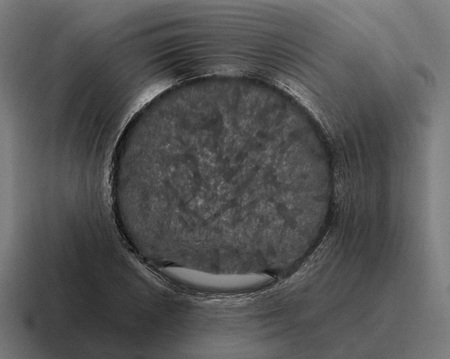 X0000116801026200912311932