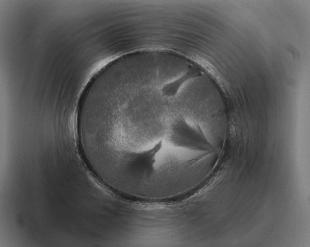 X0000116801030200912311932