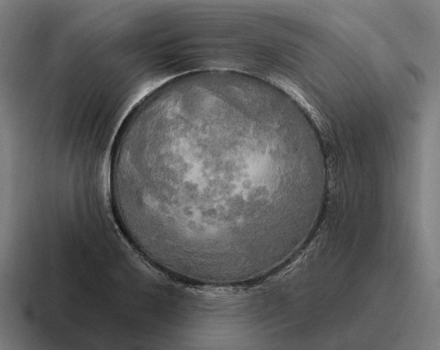 X0000116801032200912311932