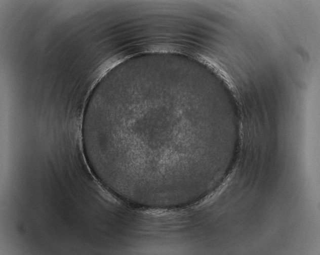 X0000116801033200912311932