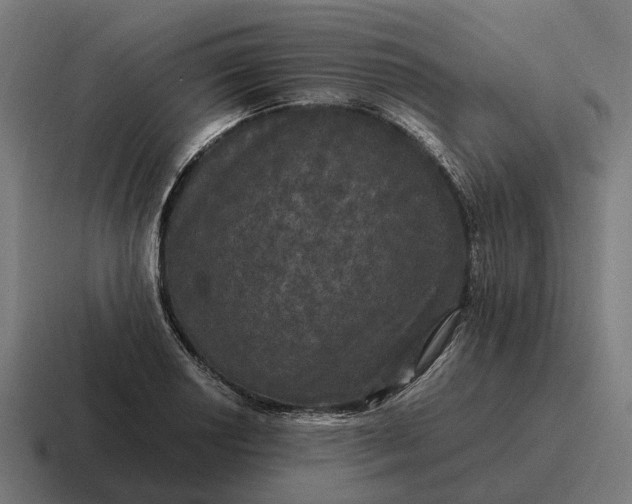 X0000116801034200912311932