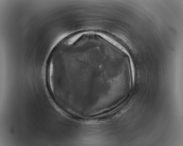 X0000116801038200912311932