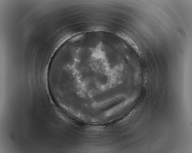 X0000116801039200912311932