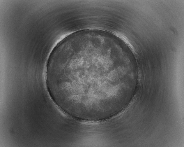 X0000116801040200912311932