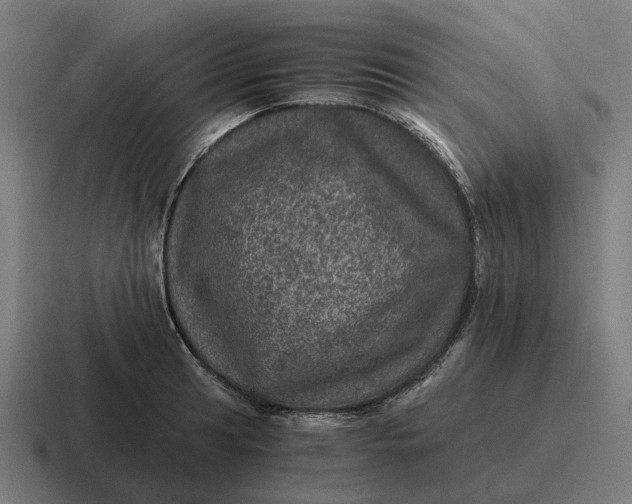 X0000116801041200912311932