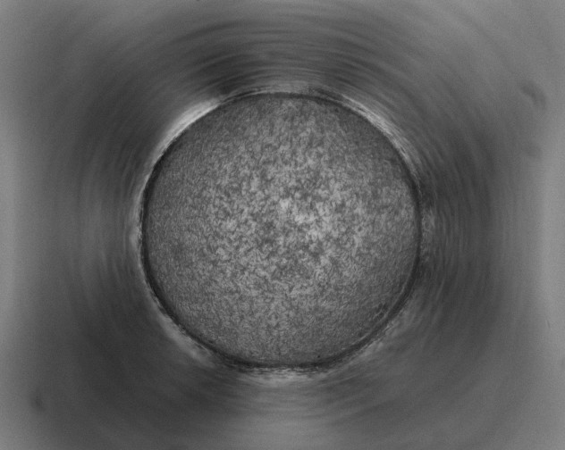 X0000116801042200912311932